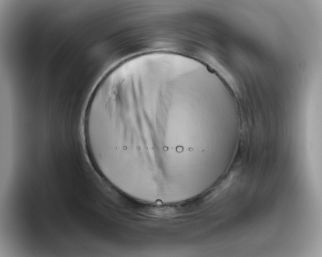 X0000093491291200711091638