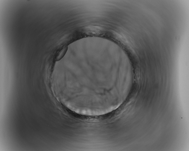 X0000093491297200711091637