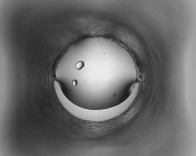 X0000093491300200711091637