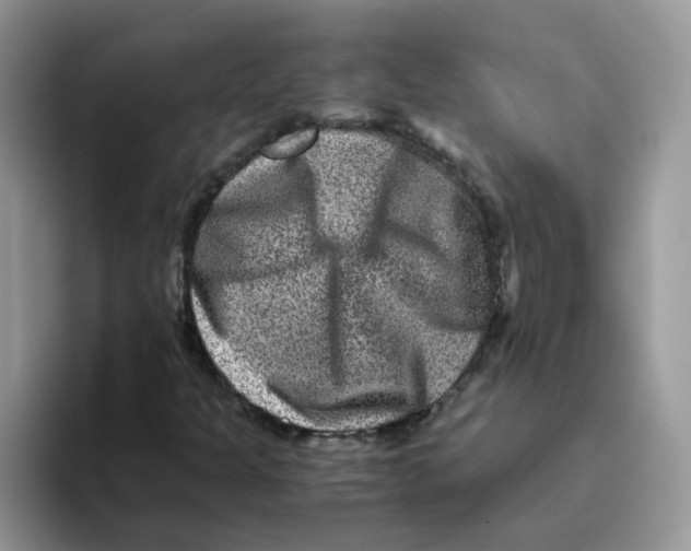 X0000093491301200711091637