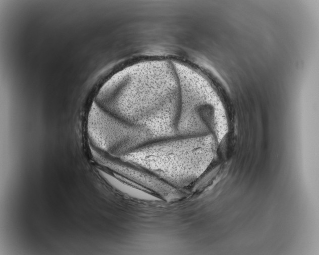 X0000093491304200711091637