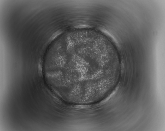 X0000093491305200711091637