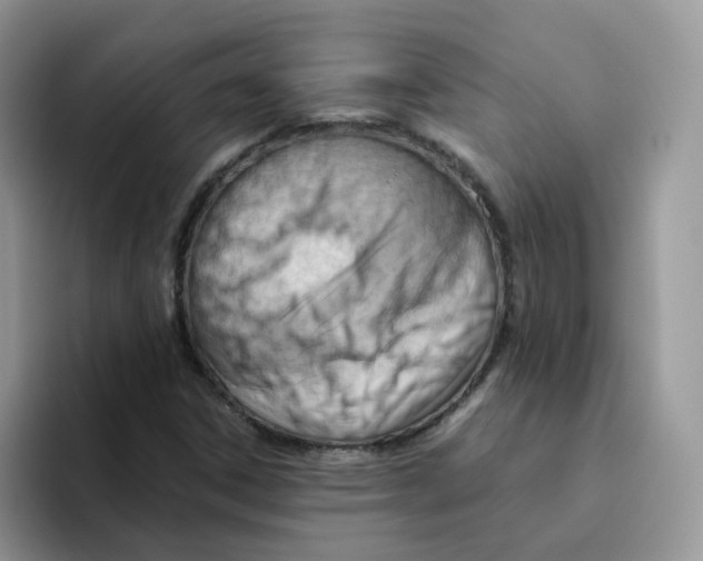 X0000093491306200711091637