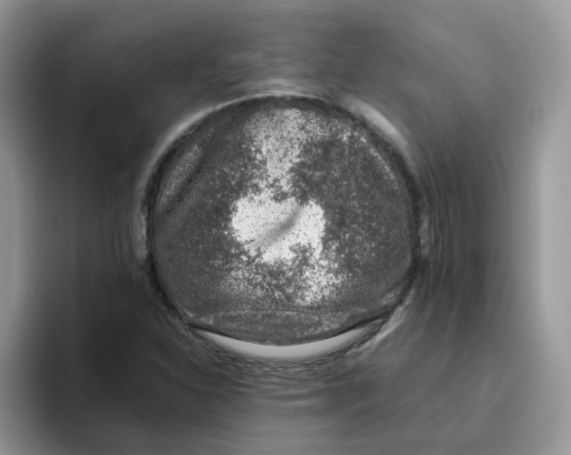 X0000093491310200711091637