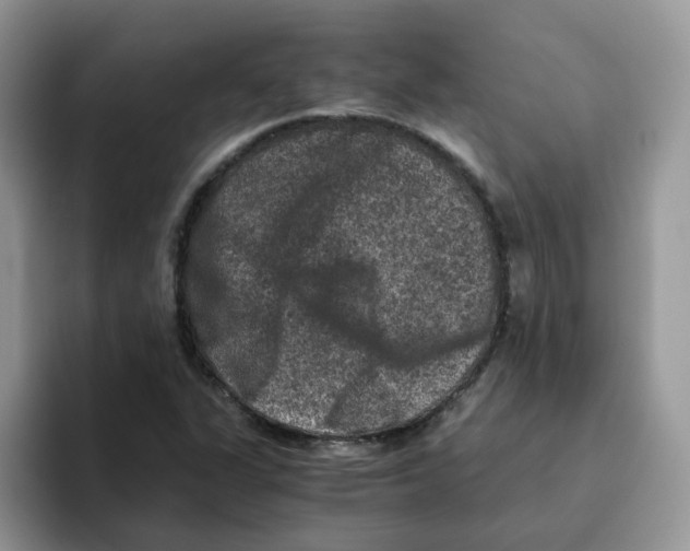 X0000093491311200711091637