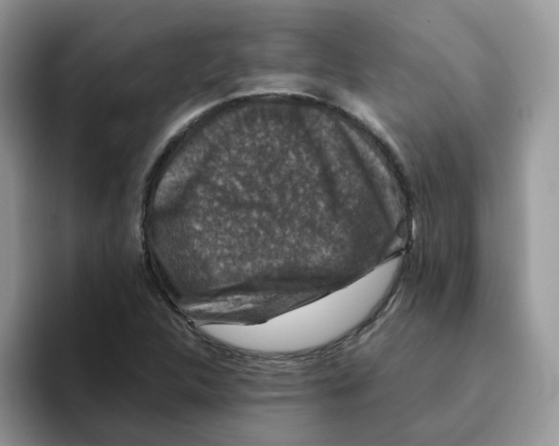 X0000093491312200711091637