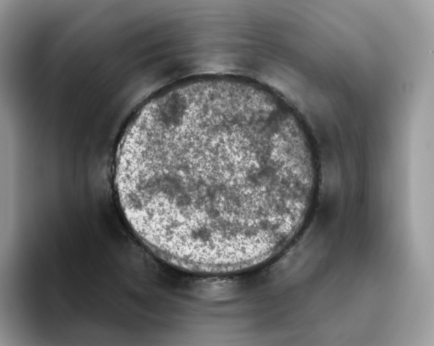 X0000093491314200711091637