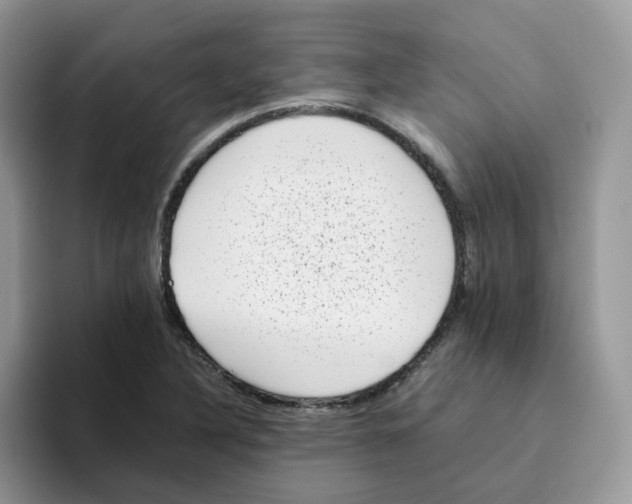 X0000093491316200711091637