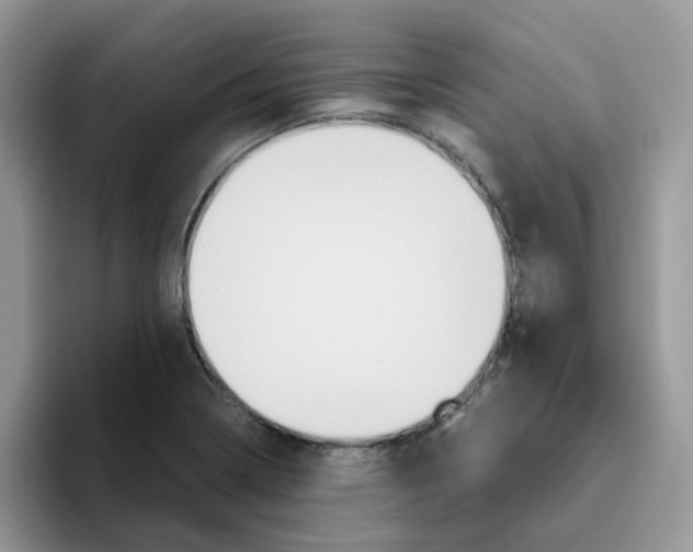 X0000093491322200711091638