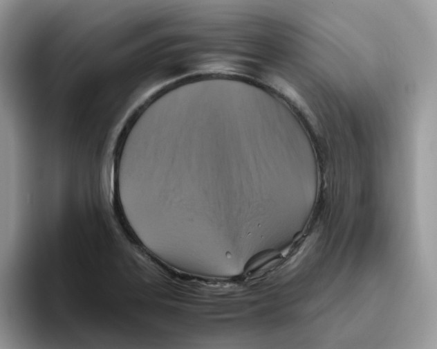 X0000093491323200711091638