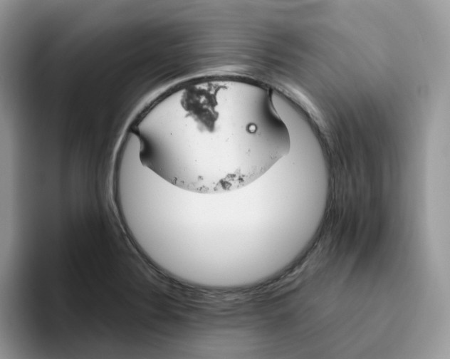 X0000093491324200711091638