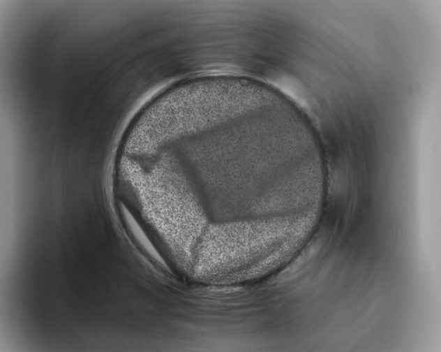 X0000093491325200711091638