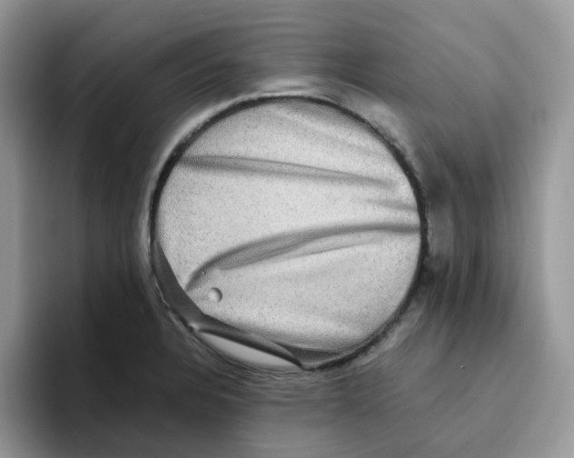 X0000093491328200711091638