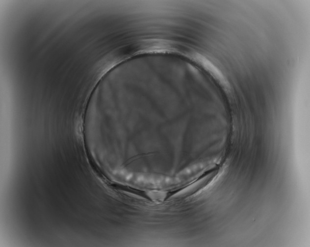 X0000093491329200711091638