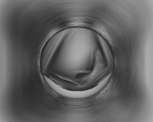 X0000093491330200711091638