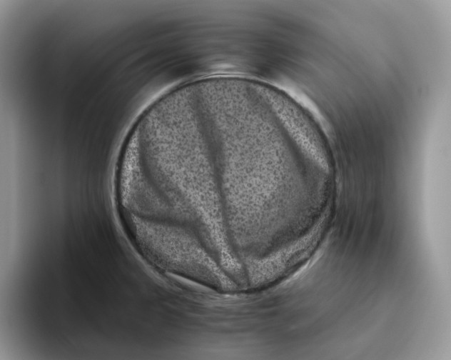 X0000093491333200711091638