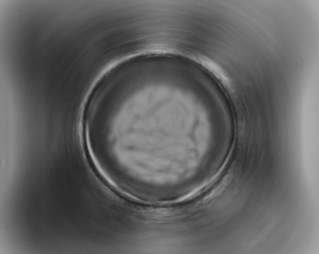 X0000093491334200711091638