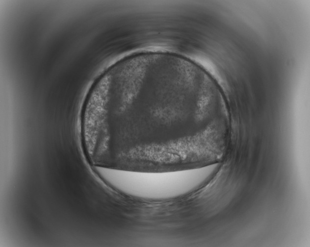 X0000093491335200711091638