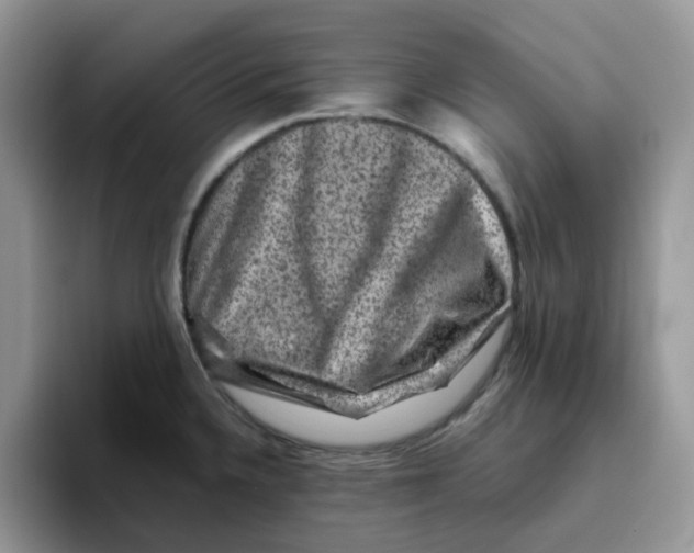 X0000093491336200711091638