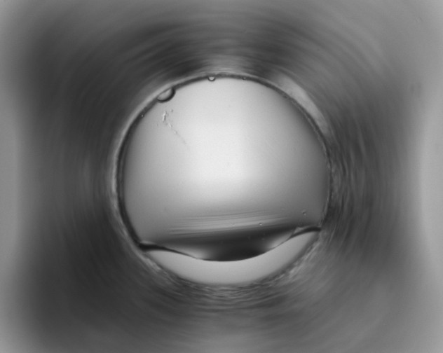 X0000093491339200711091638