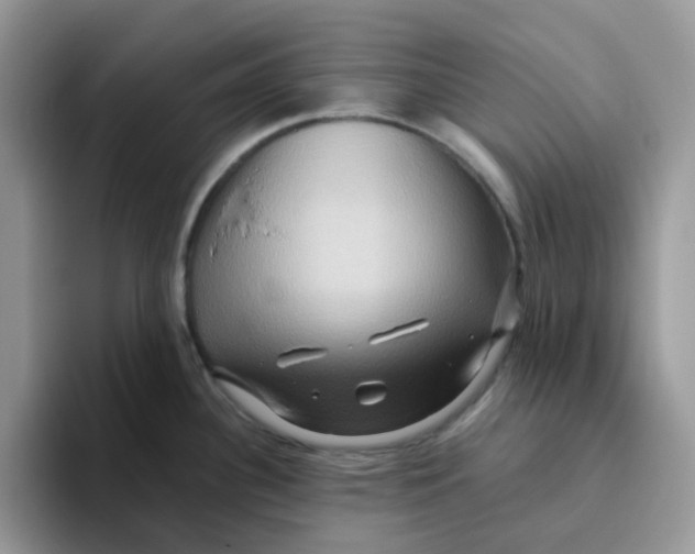 X0000093491340200711091638