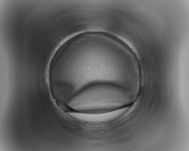 X0000093491342200711091638