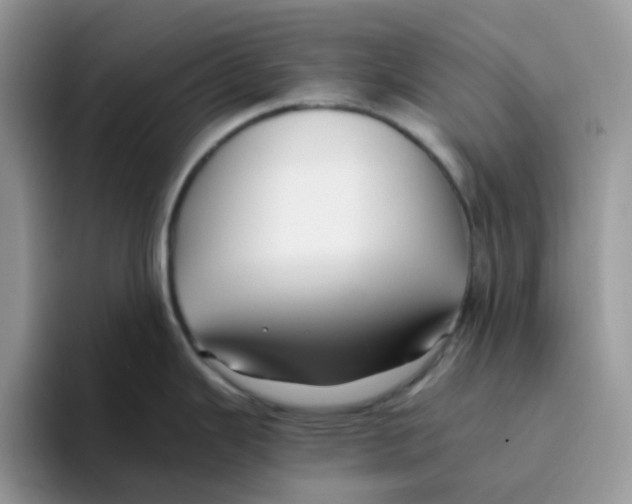 X0000093491343200711091638