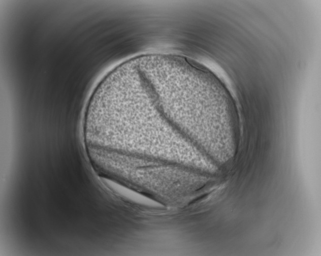 X0000093491344200711091638