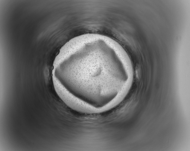 X0000093491347200711091637