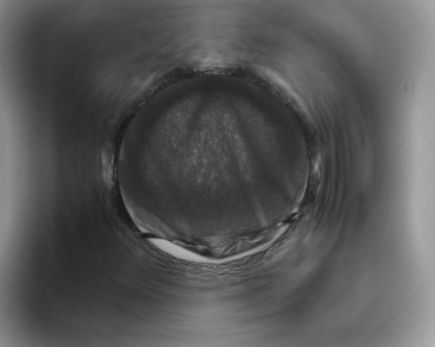 X0000093491348200711091637