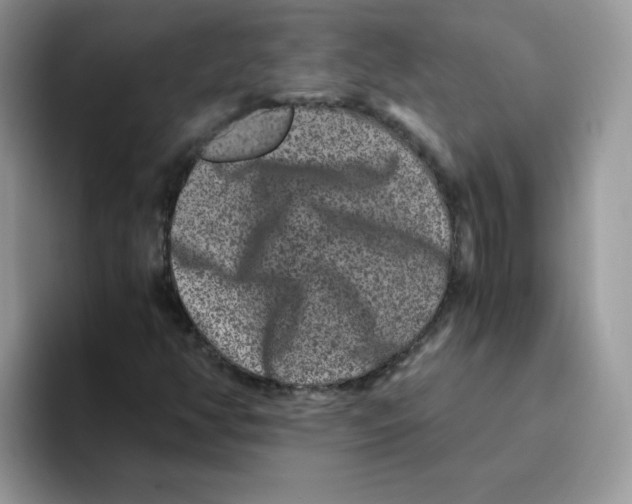 X0000093491350200711091637