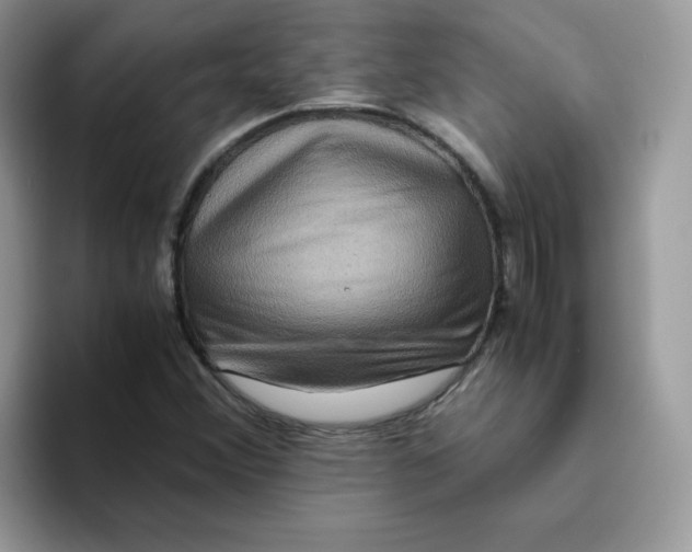 X0000093491356200711091637