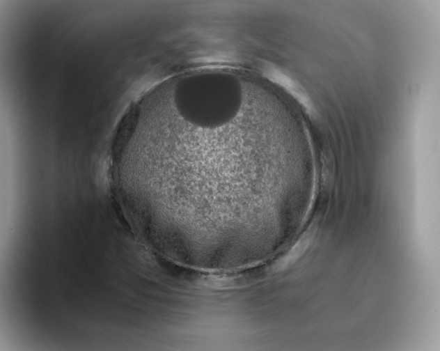 X0000093491357200711091637