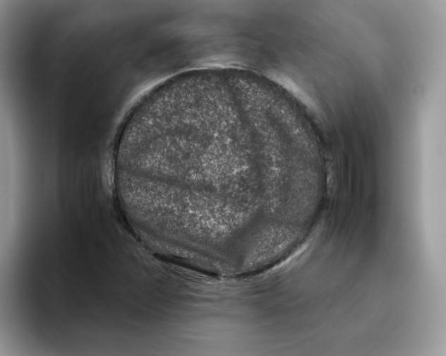 X0000093491358200711091637