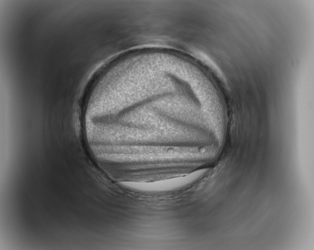 X0000093491360200711091637