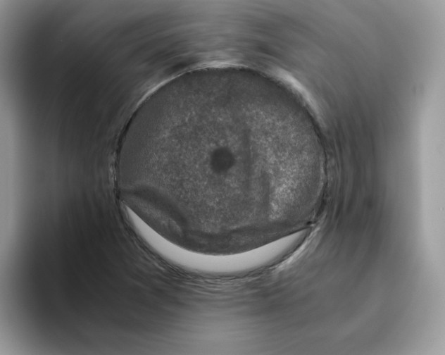 X0000093491361200711091637