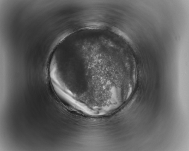 X0000093491362200711091637