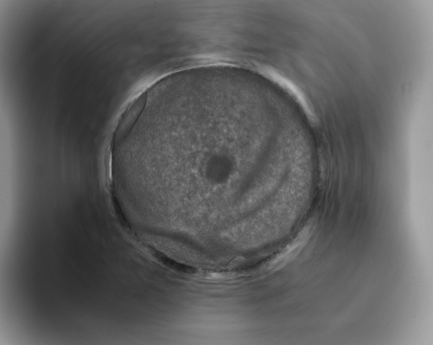 X0000093491365200711091637