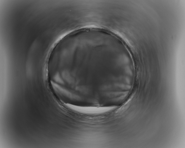 X0000093491367200711091637