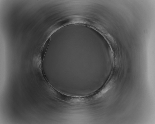 X0000093491369200711091637