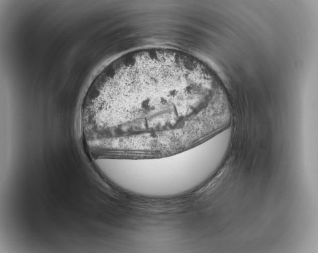 X0000093491371200711091637