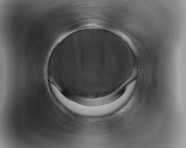 X0000093491373200711091637