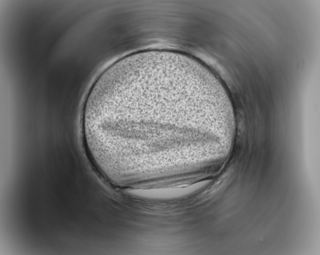 X0000093491375200711091637