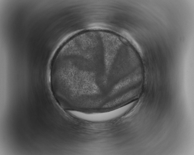 X0000093491376200711091637