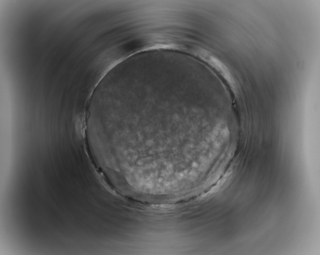 X0000093491377200711091637