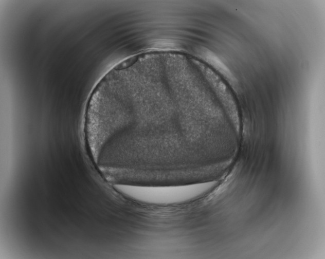 X0000093491378200711091637