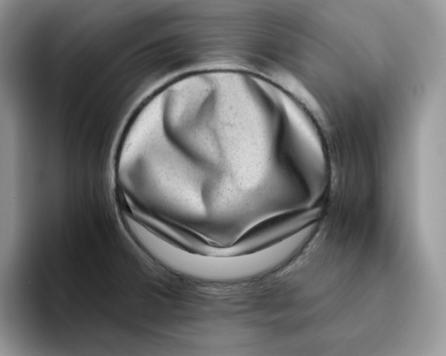 X0000093491380200711091637