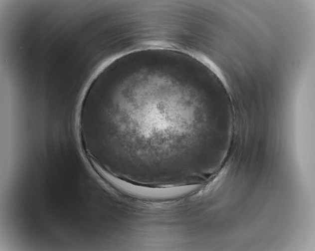 X0000093491381200711091637