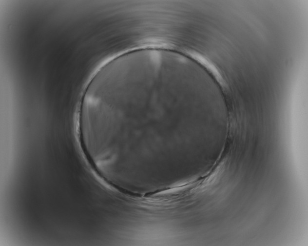 X0000093491383200711091637