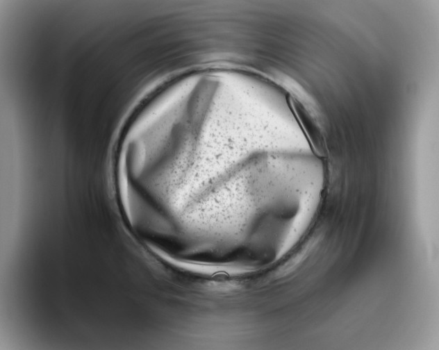 X0000093491384200711091637